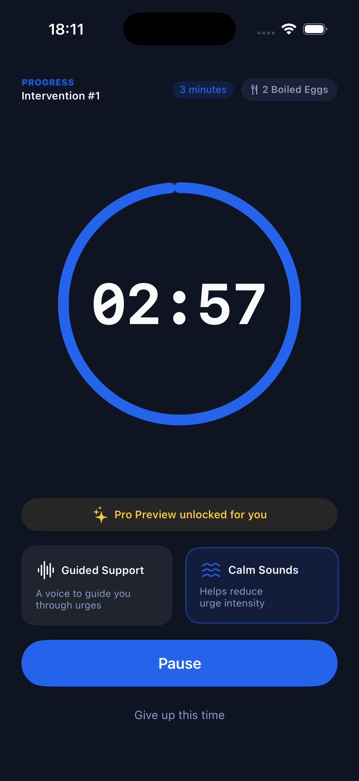 Not This Time countdown screen showing a 3-minute intervention timer and pause button